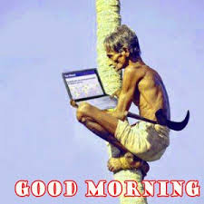 Downloadfeast is a funny portal which covers all kind of funny gifs Funny Good Morning Images Wallpaper Pictures Pics Download