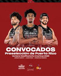 Leones de Ponce BSN