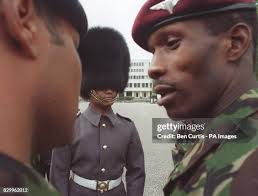 197 Curtis Peters Stock Photos, High-Res Pictures, and Images