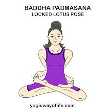Pin On Yoga