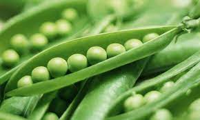 Peas In Pods Benefits Of Peas Peas Seasonal Food
