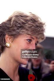 613 John Wolfson Photos & High Res Pictures