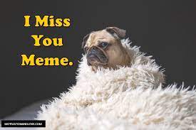 2021 Funny Miss You Memes For Him Or Her Motivation And Love These i miss you memes are cute, funny, and they have lots of emotions. 2021 funny miss you memes for him or