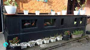 Intip saja enam desain kolam ikan di teras rumah berikut. Manfaatkan Teras Rumah Jadi Kolam Ikan Hias Bekal Baik Com