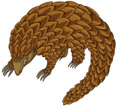 Maybe you would like to learn more about one of these? Pangolin 367957 Vector Art At Vecteezy