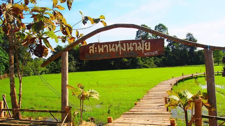 ผลการค้นหารูปภาพสำหรับ สะพานทุ่งนามุ้ย"
