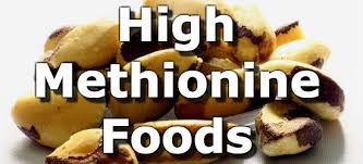 Top 10 Foods Highest In Methionine