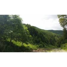 Prprietar vand asa cu 4 camere decomandate, cu toate utilitățile ( apă curentă, gaze,centrală termică pe gaze,baie,bucătărie, gresie,faianță etc).izolație. S38 Land Company Ofera Spre Vanzare 1700 Ha De Teren Impadurit In Judetul Gorj Comasat 100