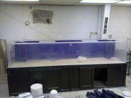 We did not find results for: 360 Gallon Acrylic Aquarium 2750 Toledo Giant Aquariums