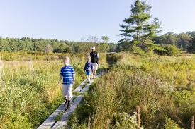 Image result for Pacific Blue 1986 Buckingham PR