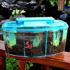 Triple betta tank setup aquarium fish waterfall centerpiece. Aquarium Mini Fish Tank Colorful Split Mini Led Light Triple Cube Betta Aquarium Box Separate Breeding Spawning Fish Tank For Home Office Decor Walmart Canada
