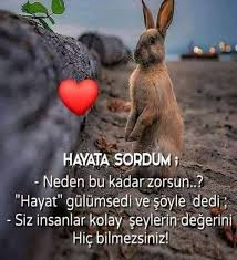 Cingiziskenderov Adli Kullanicinin Siirler Panosundaki Pin 2020 Ilham Verici Sozler Inanc Sozleri Ilham Veren Sozler