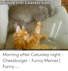 101 funny saturday memes will have you laughing from morning till night. Morning After Caturday Night Icanhascheezeurgercom Morning After Caturday Night Cheezburger Funny Memes Funny Caturday Meme On Me Me