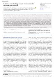 Michael hünseler and dirk schubert. Pdf Galectins In The Pathogenesis Of Cerebrovascular Accidents An Overview