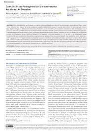 Conclusions and relevance in patients with tia and minor ischemic stroke, ticagrelor added to aspirin was superior to aspirin alone in. Pdf Galectins In The Pathogenesis Of Cerebrovascular Accidents An Overview