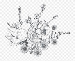 Free Free 172 Flower Svg Sketch SVG PNG EPS DXF File