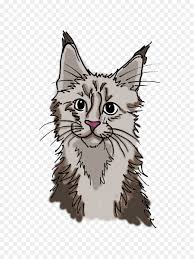 Kucing maine coon adalah jenis kucing ras paling tua di amerika serikat. Schnurrhaare Maine Coon Kitten Tabby Katze Inlandischen Kurzhaar Katze Katzchen Png Herunterladen 2448 3264 Kostenlos Transparent Katze Png Herunterladen