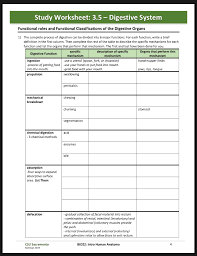 Worksheets are digestion work answers 6 wk, an introduction to digestion, digestion and enzymes work. Solved Study Worksheet 3 5 Digestive System Functional Chegg Com