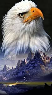 Eddie Jaques (eddiejaques7)