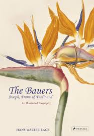 Immer mit dem motto blumen machen menschen glücklich! The Bauers Joseph Franz Ferdinand Masters Of Botanical Illustration Lack Hans Walter Amazon De Bucher
