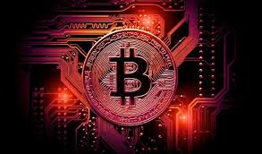 We help you find the best crypto exchange in 2020! Best Cryptocurrency Exchange 2020 Webku