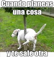 Memes % divertidos y graciosos❗ (facebook click al link) * ⚠️ publicidad al dm * también estamos en @memes_divertidoss_2.0 fb.me/memesdivertidoss.14. Top Super Memes Topsupermemes1 Twitter