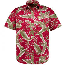 Maybe you would like to learn more about one of these? Kamro Hawaii Hemd Kurzarm Weinrot Pfundskerl