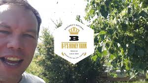 @BYsHoneyFarm3's video Tweet