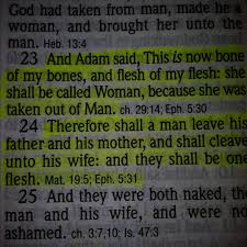 Bone Of My Bone And Flesh Of My Flesh First Wedding Vows Ever Said Wedding Scripture Read Bible Scripture Quotes