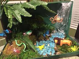 Biome In A Box Project Related Image Rainforest Project Biomes Project Habitats Projects