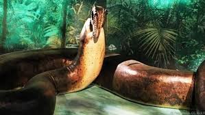 Maybe you would like to learn more about one of these? Raja Piton Hutan Kalimantan Daftar Ular Terbesar Di Dunia