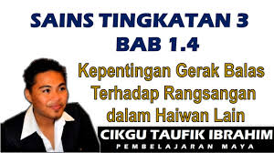 Bab 1 rangsangan dan gerak balas (part 2)] tingkatan. Sains Tingkatan 3 Kssm I Bab 1 Rangsangan Dan Gerak Balas I1 4 Kepentingan Gerak Balas Youtube