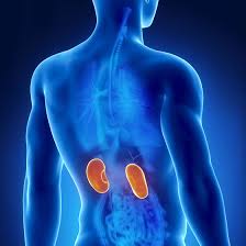 Cel mai bun mod de a indeparta pietrele la rinichi este consumul constant de lichide. Litotritie Craiova Eliminare Pietre Rinichi Interventie Laser Dr Stoica Lucian