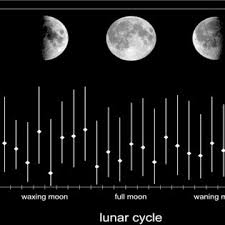 Since the beginning of time, humans have been tracking the moon, observing its changes, and noticing our undeniable connection. Pdf The Dark Side Of The Moon Impact Of Moon Phases On Long Term Survival Mortality And Morbidity Of Surgery For Lung Cancer