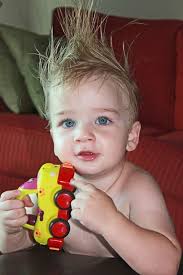 The Beach Trip of Dreams.