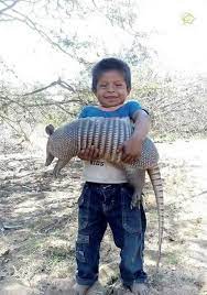 Reddit Pics This Little Guy With His Pet Armadillo In Northern Argentina The Indigenous Kids Raise Them As Pets They Forage All Pets Pet Dragon Armadillo