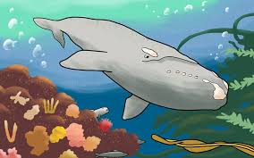 Image result for whale
