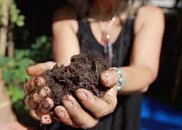 How magic worms are special ▔▔▔▔▔▔▔▔▔▔▔▔▔▔▔▔▔ magic worms are the pinnacle of worm breeding. How To Build A Worm Farm