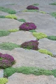 Pflastersteine Mit Thymian Kamille Dazwischen Fur Den Nebenhof Dazwischen Kamille Nebenhof Pfla Garden Inspiration Outdoor Gardens Beautiful Gardens