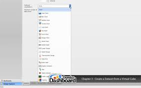3 3 3 Create A Dataset From A Virtual Cube Dundas Dashboard Tutorials Series 3