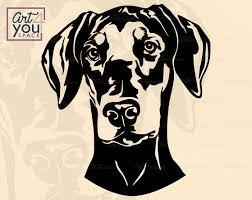 Doberman Svg Dog Svg Files For Cricut Doberman Pinscher Bandana Clipart Download Pet Face Vector Head Portrait Printable Art Png Dxf In 2020 Doberman Doberman Pinscher Animal Faces