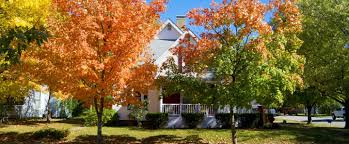 Best landscape trees for all seasons. Landscape Design Lawn Care Services Binghamton Endicott Vestal Ny Turf Grow