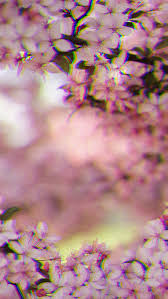 Download grass water drops pink yellow aesthetic background hd pink aesthetic wallpaper from the above hd widescreen 4k 5k 8k ultra hd resolutions for desktops laptops, notebook, apple iphone & ipad, android mobiles & tablets. The Ultimate Collection Of Aesthetic Phone Wallpapers Iphone Android Aesthetic Design Shop