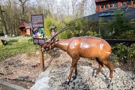 Asian elephant calf in ostrava zoo! Zoo Ostrava S New Saola Sculpture The Saola Working Group