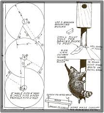 How do you keep squirrels out of trees? Diy Squirrel Baffle Ideas General Fruit Growing Growing Fruit