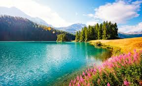 33.400+ Lago Alpino E Na Montanha fotos de stock, imagens e fotos  royalty-free - iStock
