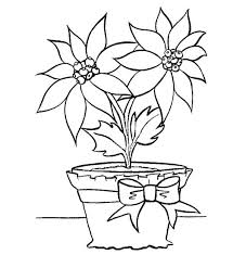 No al maltrato de la poinsetia y resto de plantas navideñas. Flores De Pascua Para Colorear Flores Para Colorear