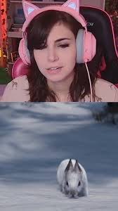 I knew it was coming and it still hurts :,) #twitch #twitchstreamer  #streamer #twitchclips #clips #tlou