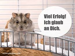 Pin Von H Schreiber Auf 20 Viel Erfolg Bilder Geburtstagswunsche Lustige Bilder Bilder Mit Spruchen