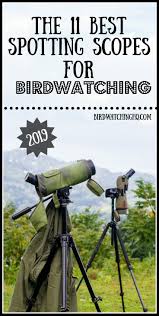 The 11 Best Spotting Scopes For Bird Watching 2020 Bird Watching Hq Bird Watching Spotting Scopes Scopes